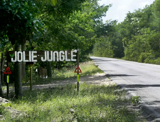Jolie Jungle Eco Hotel hotel detail image 2
