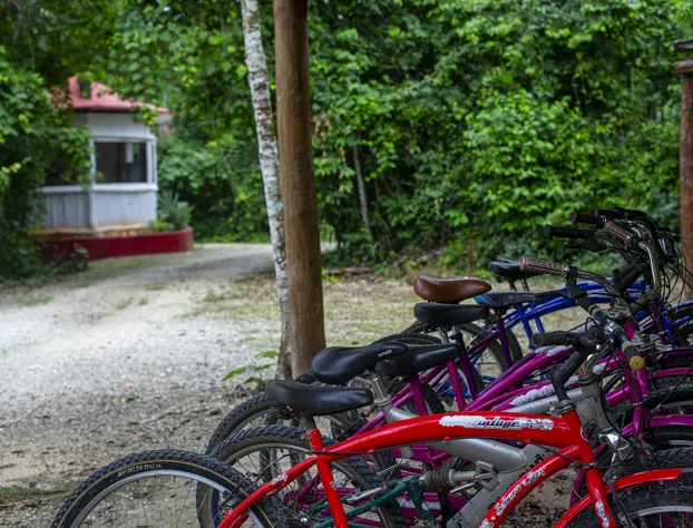 Jolie Jungle Eco Hotel hotel detail image 4