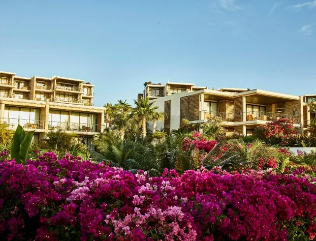 Chileno Bay Resort & Residences, Auberge Collection hotel detail image 1