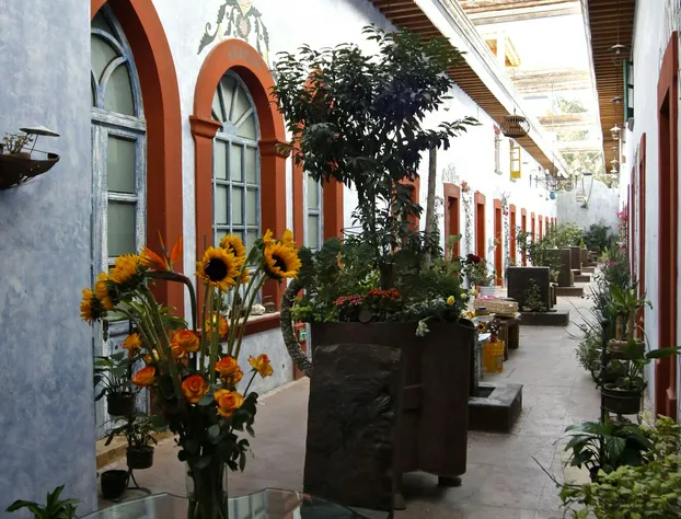 Hotel Bethel Puerta del Cielo hotel detail image 3