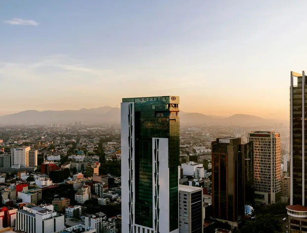 Sofitel Mexico City Reforma hotel detail image 3