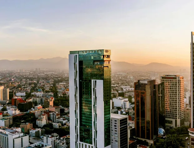 Sofitel Mexico City Reforma hotel detail image 4