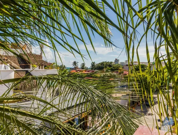 Moonshine Hotel hotel detail image 4