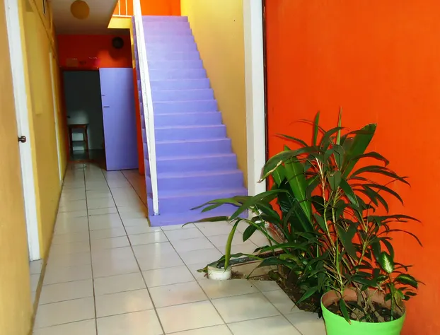 Casa Mexicana Barra de Navidad hotel detail image 3