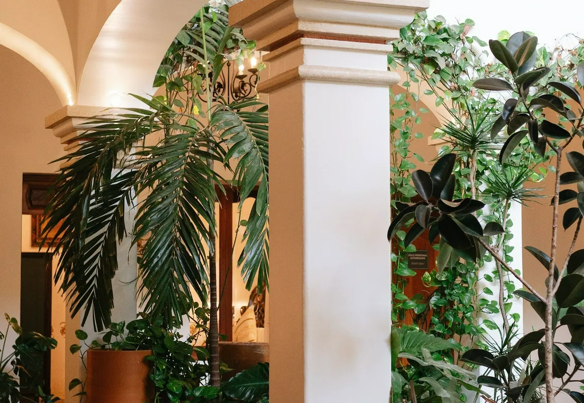 Los Pilares Hotel hotel hero