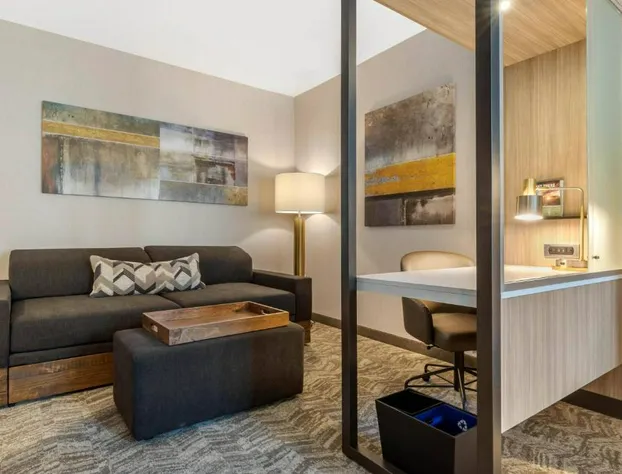 SpringHill Suites by Marriott Charlotte Southwest hotel detail image 4