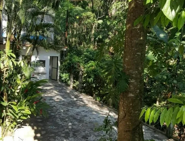 Hotel La Quinta Avenida hotel detail image 3