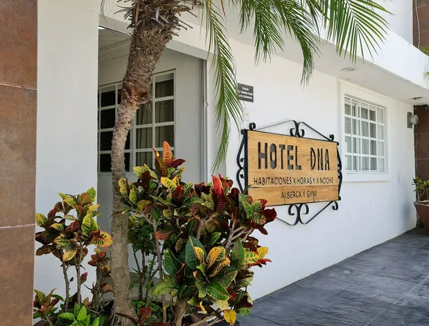 Hotel DNA Cancun hotel detail image 4