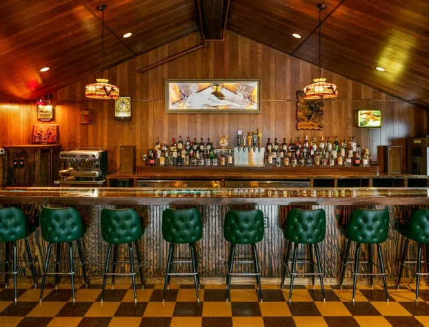 The Dive Motel & Swim Club hotel detail image 3