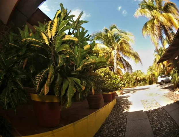 Quinta Comala hotel detail image 1