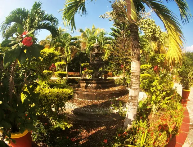 Quinta Comala hotel detail image 2