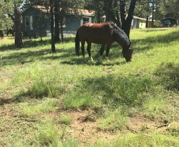 The Lodge at Lazy Bear Retre hotel detail image 1