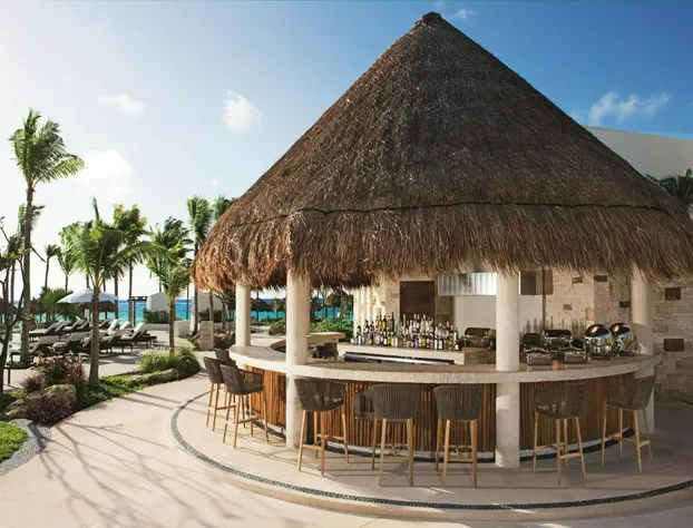 Secrets Akumal Riviera Maya - Adults Only - All Inclusive hotel detail image 1