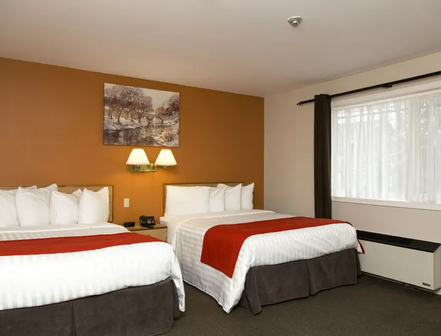 Hotel Robin Hood hotel detail image 4