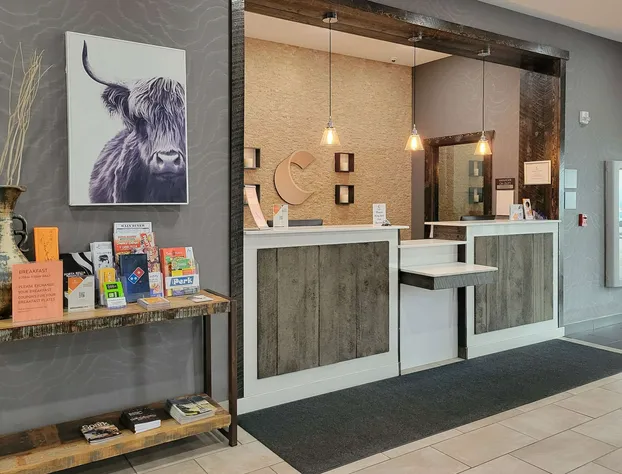 Comfort Inn & Suites hotel detail image 3