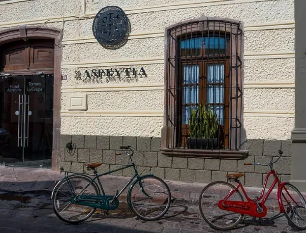 Casa Aspeytia Hotel Boutique hotel detail image 4