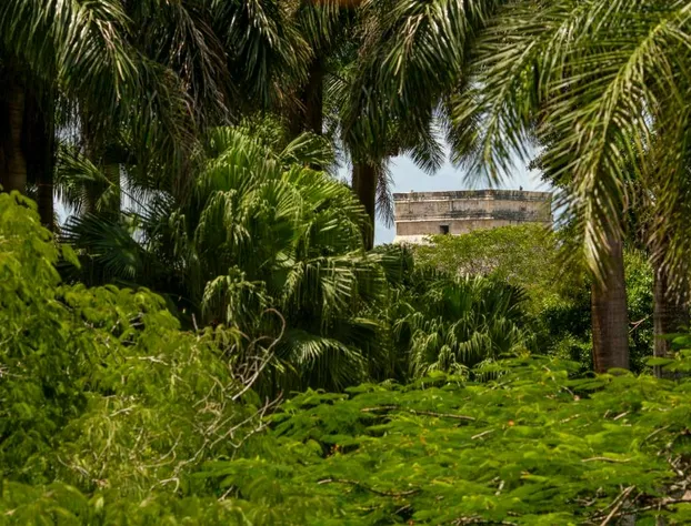 Mayaland Hotel & Bungalows hotel detail image 3