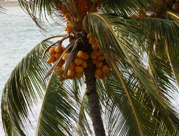 Playa de Santiago Hotel hotel detail image 3