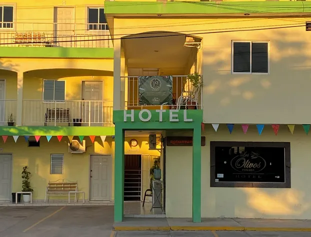 Hotel Posada Los Olivos Los Mochis hotel detail image 1