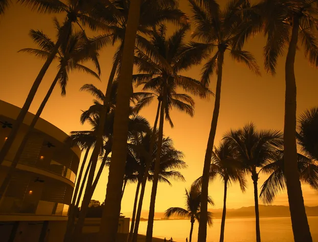 Vista Vallarta All Suites on the Beach hotel detail image 1
