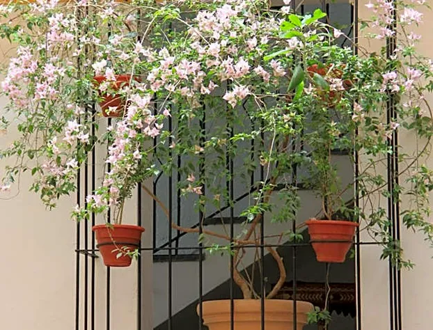 Hotel Ciudad Real Centro Histórico hotel detail image 1