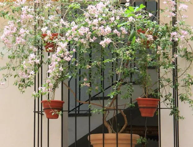 Hotel Ciudad Real Centro Histórico hotel detail image 2