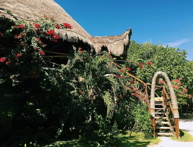 Amansala hotel detail image 4