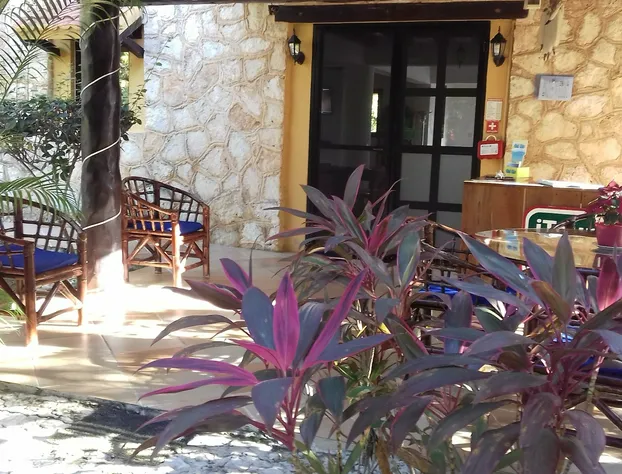 Villa Tortugas hotel detail image 2