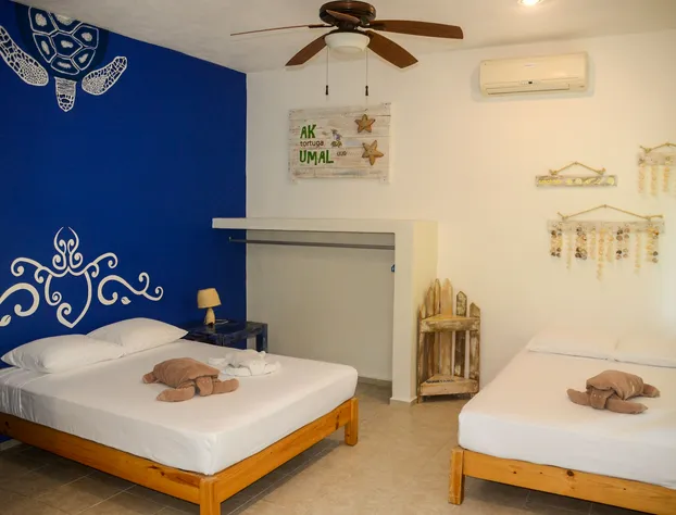 Villa Tortugas hotel detail image 4