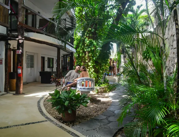 Siesta Fiesta Hotel hotel detail image 1