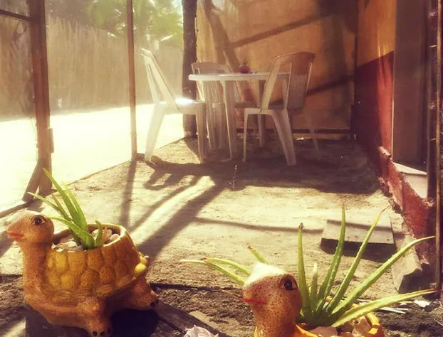 Hacienda la Catrina Holbox hotel detail image 1