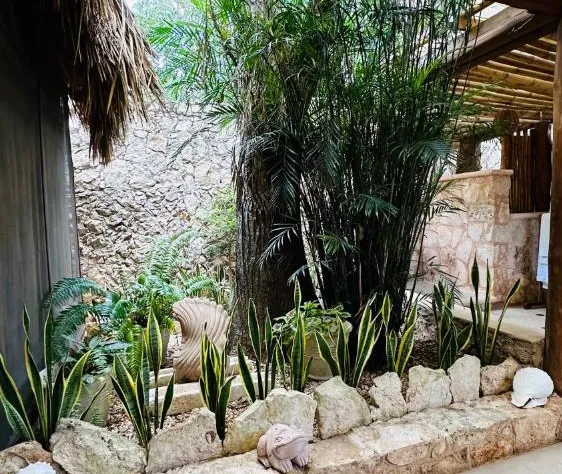 Casa Quetzal Hotel Boutique hotel detail image 4