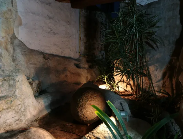 Hotel Casa de La Loma hotel detail image 4