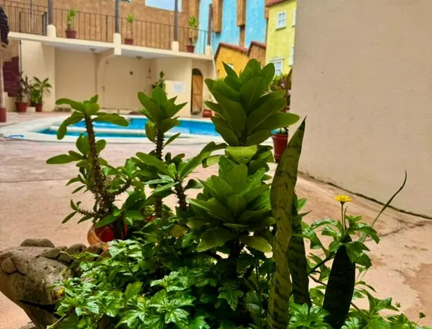 Hotel Zihuatanejo Centro hotel detail image 2