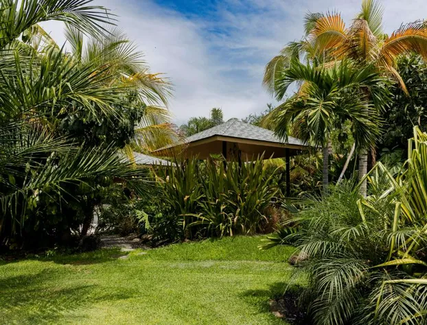 Soul Spring Sanctuary Cuernavaca hotel detail image 2