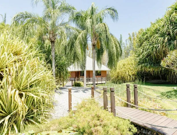 Soul Spring Sanctuary Cuernavaca hotel detail image 1