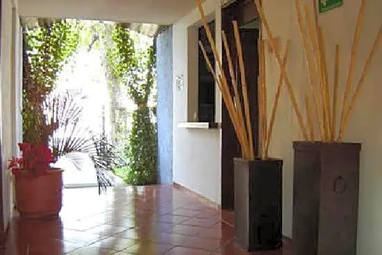 Hotel Los Girasoles Cancun hotel detail image 2