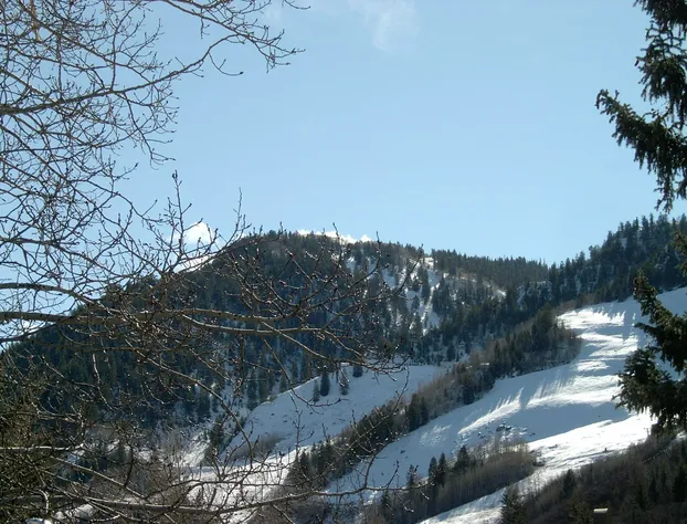 St. Moritz Lodge & Condominiums hotel detail image 2