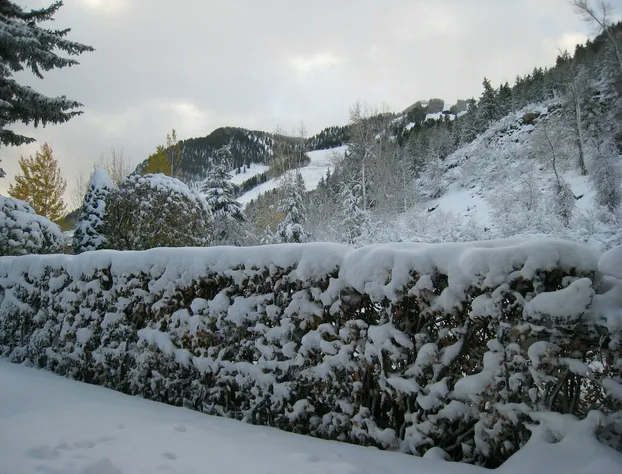 St. Moritz Lodge & Condominiums hotel detail image 2