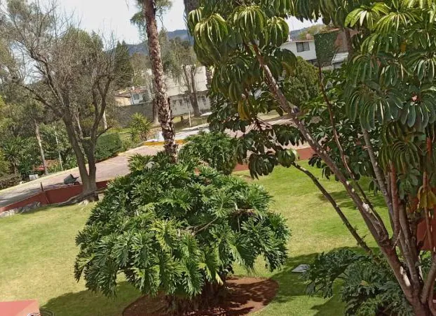 Hotel Punta Galeria hotel detail image 3