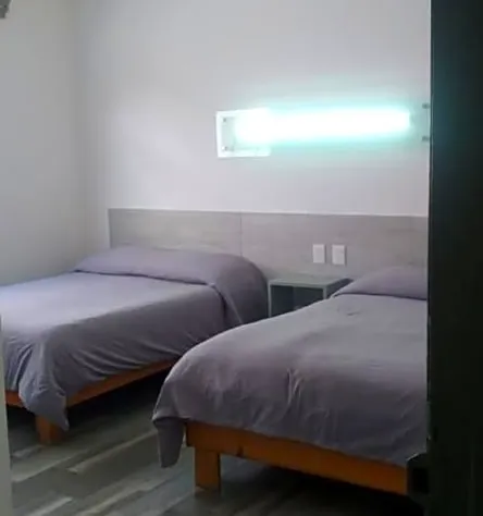 Hotel Insurgentes hotel detail image 2