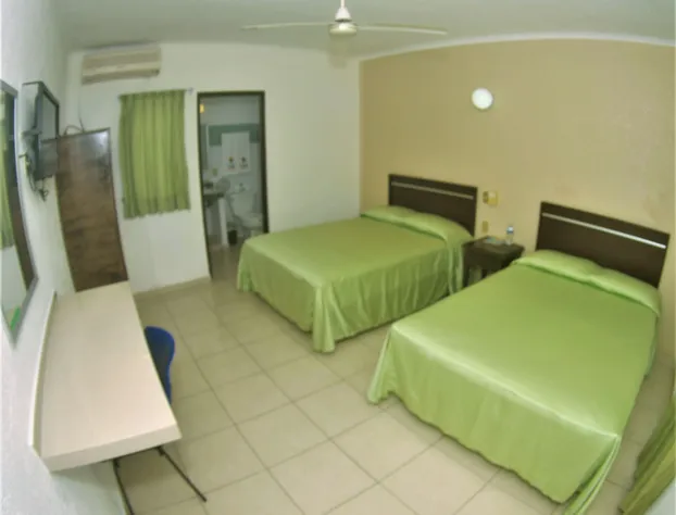 Hotel Rio Balsas hotel detail image 3