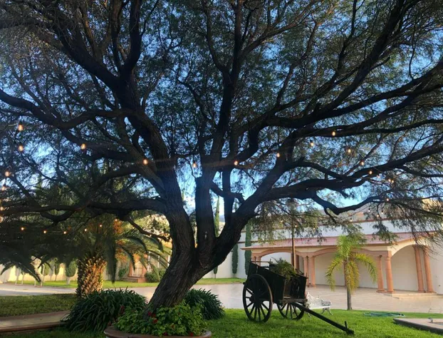 Hotel la finca hotel detail image 1