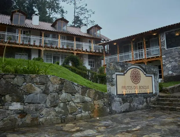 Hotel Frutos del Bosque hotel detail image 1