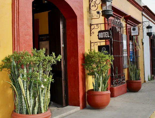 Hotel Casa del Sótano hotel detail image 2