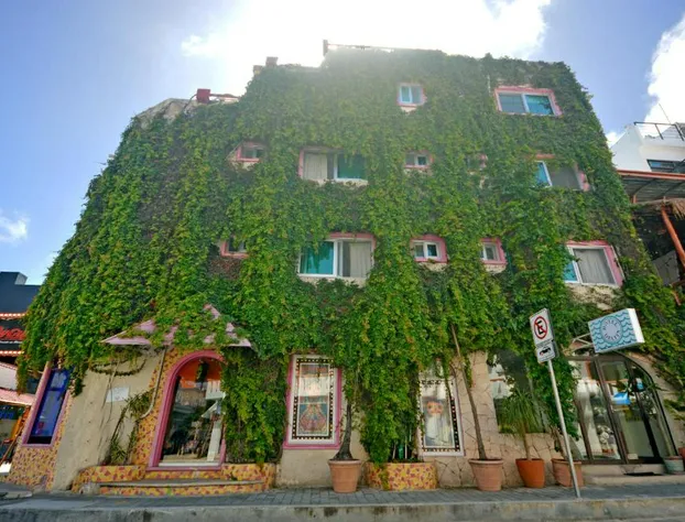 Hotel Delfin hotel detail image 2