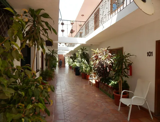 Cabo Cush Hotel hotel detail image 2