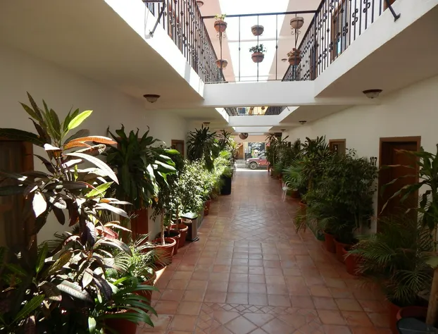 Cabo Cush Hotel hotel detail image 3