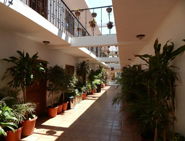 Cabo Cush Hotel hotel detail image 4