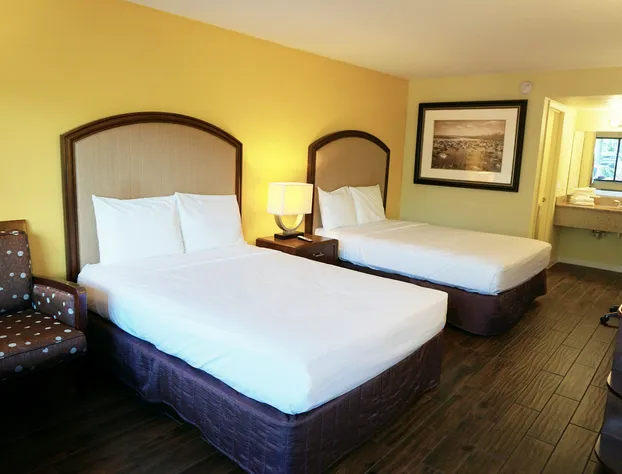 Duo Boutique Hotel hotel detail image 3